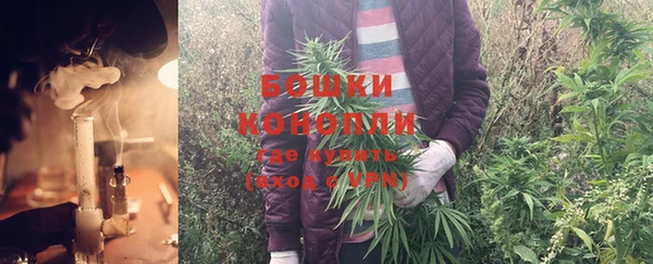 молекула духа Навашино