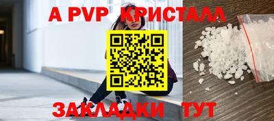 стаф Дубна