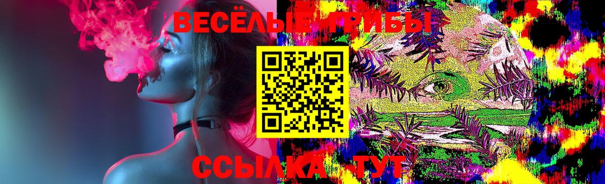 Кудрово  Псилоцибиновые грибы MAGIC MUSHROOMS  Вход с VPN 
